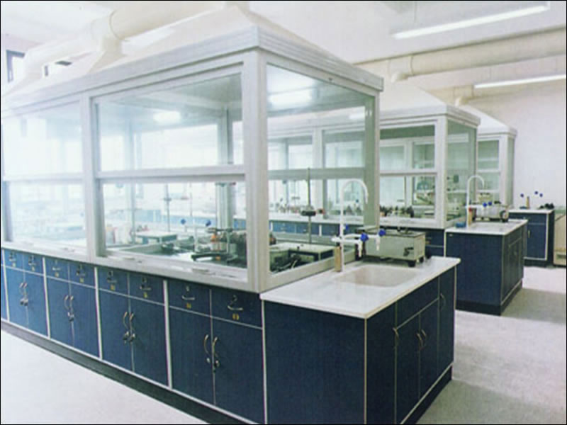 實驗室通風(fēng)柜、毒氣柜