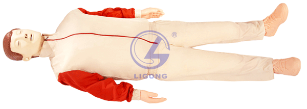 高級全自動電腦心肺復(fù)蘇模擬人